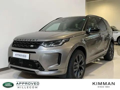 Annonce LAND ROVER DISCOVERY Hybride 2023 d'occasion 