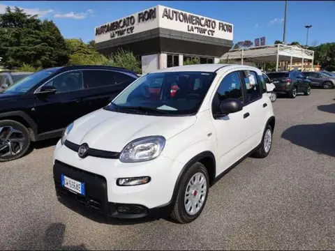 Used FIAT PANDA Hybrid 2024 Ad 