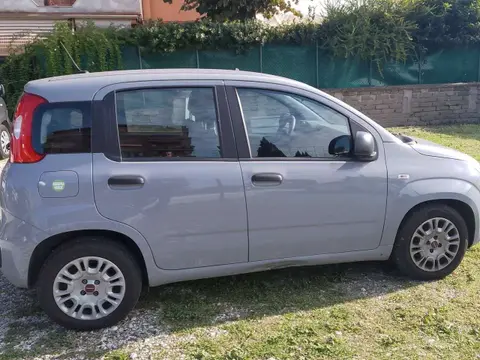 Annonce FIAT PANDA Hybride 2020 d'occasion 