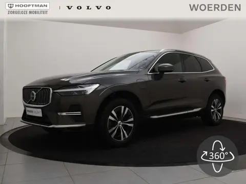 Annonce VOLVO XC60 Hybride 2022 d'occasion 