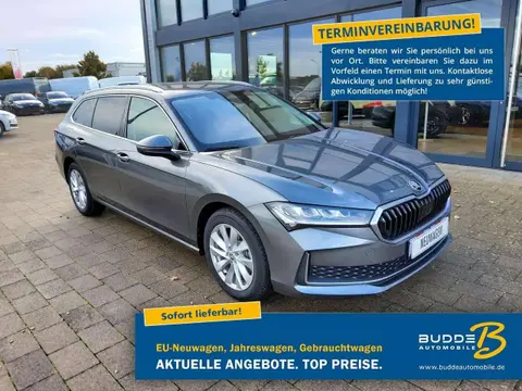 Used SKODA SUPERB Petrol 2024 Ad 