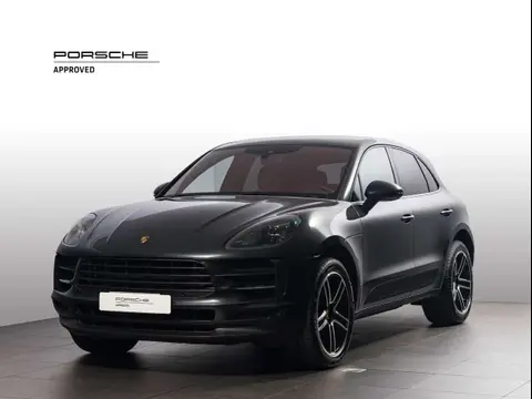 Used PORSCHE MACAN Petrol 2021 Ad 