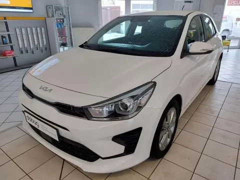 Used KIA RIO Petrol 2023 Ad 