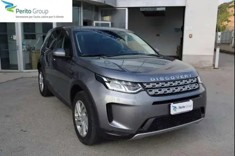 Used LAND ROVER DISCOVERY Hybrid 2020 Ad 