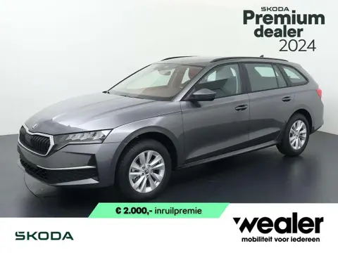 Annonce SKODA OCTAVIA Essence 2024 d'occasion 