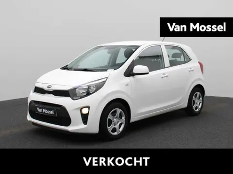 Annonce KIA PICANTO Essence 2019 d'occasion 