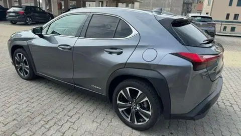 Used LEXUS UX Hybrid 2019 Ad 