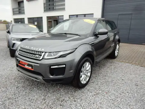 Annonce LAND ROVER RANGE ROVER EVOQUE Diesel 2019 d'occasion 