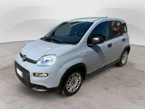 Used FIAT PANDA Hybrid 2022 Ad 