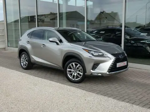 Annonce LEXUS NX Hybride 2022 d'occasion 