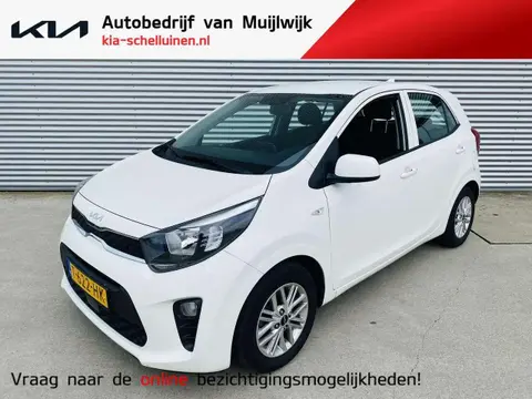 Used KIA PICANTO Petrol 2023 Ad 