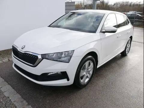 Used SKODA SCALA Petrol 2023 Ad 