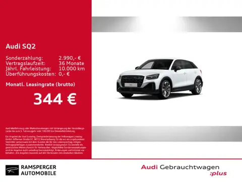 Used AUDI SQ2 Petrol 2023 Ad 