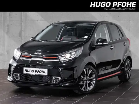 Used KIA PICANTO Petrol 2024 Ad 