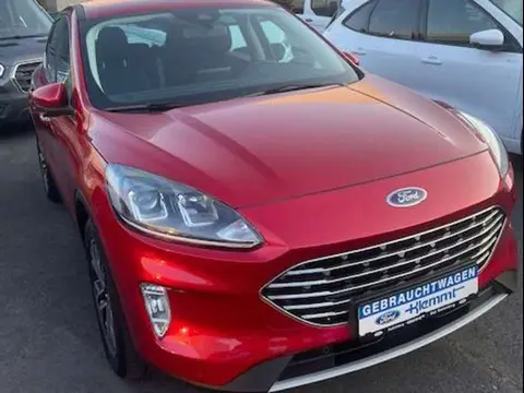 Used FORD KUGA Hybrid 2020 Ad 