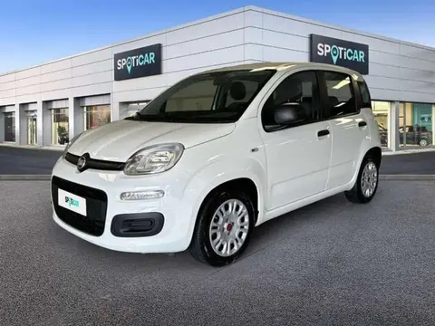 Annonce FIAT PANDA Essence 2021 d'occasion 