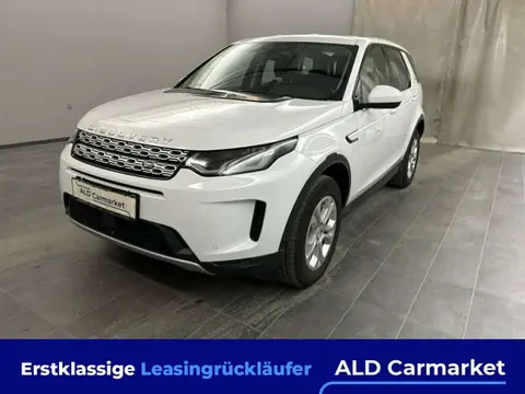 Used LAND ROVER DISCOVERY Hybrid 2021 Ad 