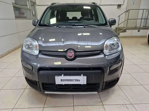 Used FIAT PANDA Hybrid 2022 Ad 