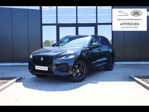 Used JAGUAR F-PACE Hybrid 2024 Ad 