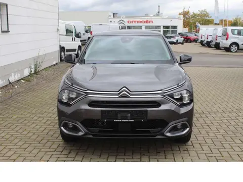 Annonce CITROEN C4 Essence 2024 d'occasion 