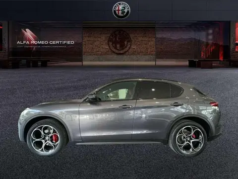 Used ALFA ROMEO STELVIO Diesel 2019 Ad 