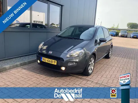 Used FIAT PUNTO Petrol 2017 Ad 