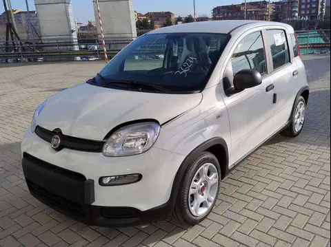 Used FIAT PANDA Hybrid 2024 Ad 