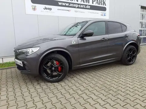 Used ALFA ROMEO STELVIO Petrol 2023 Ad 