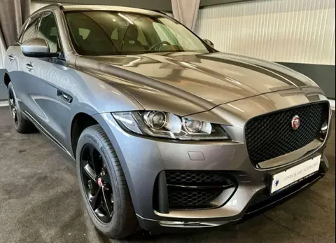 Used JAGUAR F-PACE Petrol 2019 Ad 