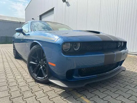 Used DODGE CHALLENGER Petrol 2021 Ad 