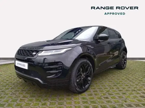 Used LAND ROVER RANGE ROVER EVOQUE  2020 Ad 