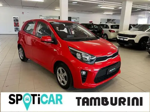 Used KIA PICANTO Petrol 2022 Ad 