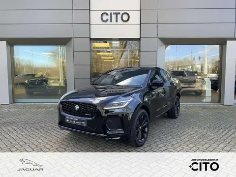 Used JAGUAR E-PACE Hybrid 2024 Ad 