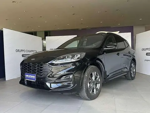 Used FORD KUGA Petrol 2023 Ad 