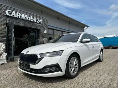 Annonce SKODA OCTAVIA Diesel 2020 d'occasion 