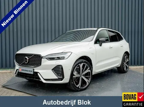 Used VOLVO XC60 Hybrid 2023 Ad 