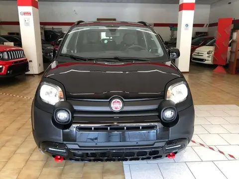 Annonce FIAT PANDA Hybride 2023 d'occasion 