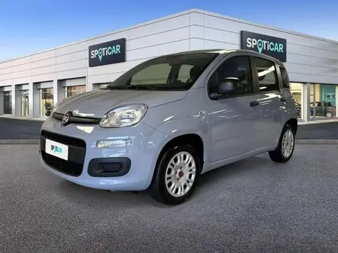 Annonce FIAT PANDA Essence 2019 d'occasion 