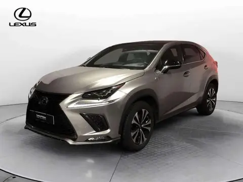 Used LEXUS NX Hybrid 2021 Ad 