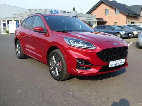 Annonce FORD KUGA Hybride 2021 d'occasion 