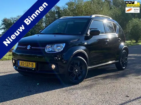 Used SUZUKI IGNIS Petrol 2019 Ad 