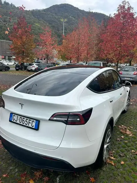 Used TESLA MODEL Y Electric 2022 Ad 