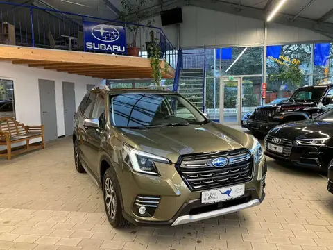 Used SUBARU FORESTER Petrol 2023 Ad 