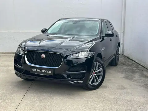 Used JAGUAR F-PACE Diesel 2020 Ad 