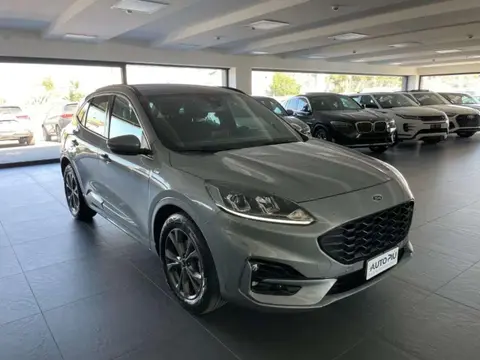 Annonce FORD KUGA Diesel 2022 d'occasion 