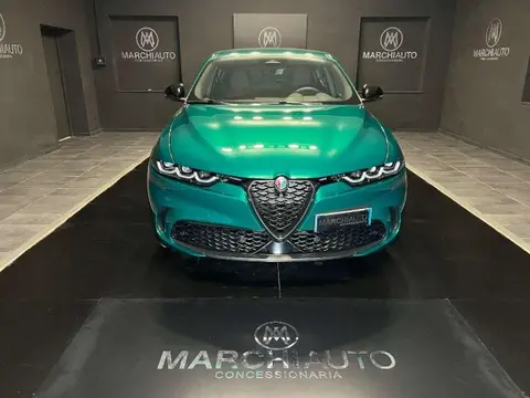 Annonce ALFA ROMEO TONALE Hybride 2024 d'occasion 