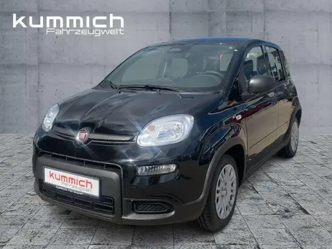 Used FIAT PANDA Hybrid 2024 Ad 