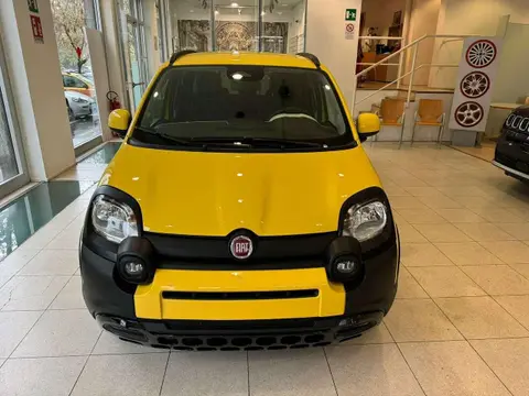 Used FIAT PANDA Hybrid 2024 Ad 