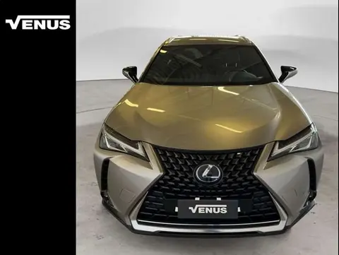 Annonce LEXUS UX Hybride 2021 d'occasion 