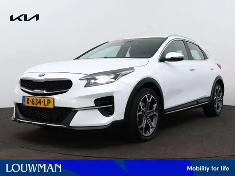 Used KIA XCEED Petrol 2021 Ad 